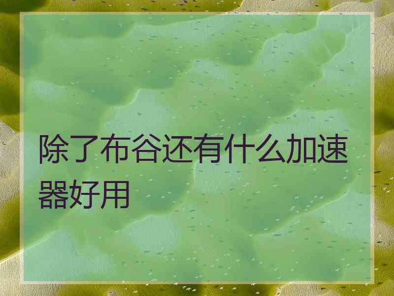 除了布谷还有什么加速器好用