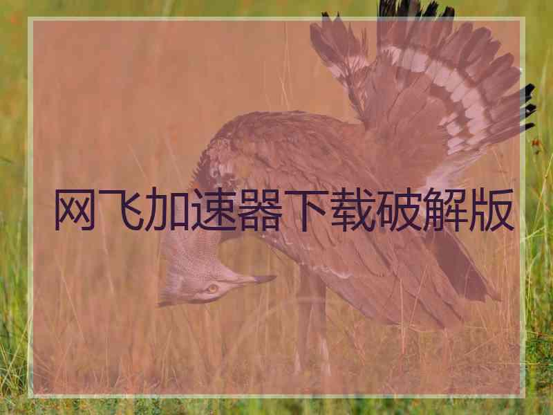 网飞加速器下载破解版
