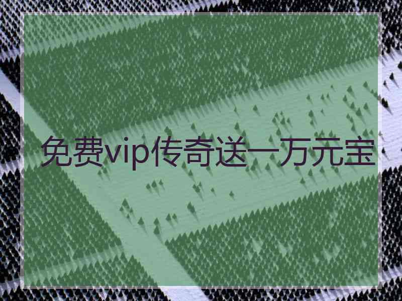 免费vip传奇送一万元宝