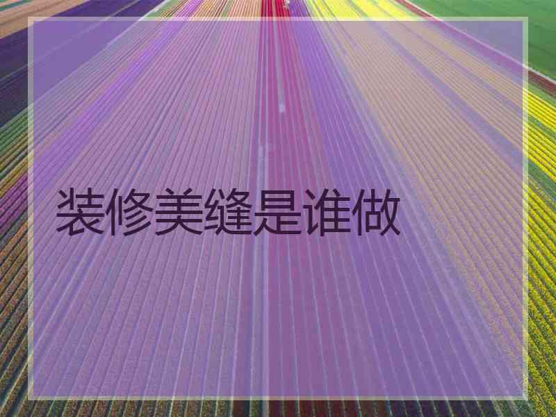 装修美缝是谁做