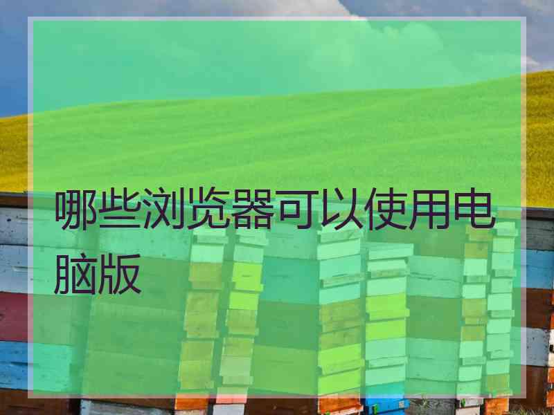 哪些浏览器可以使用电脑版