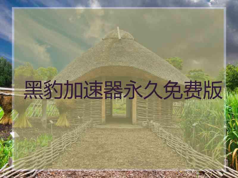 黑豹加速器永久免费版