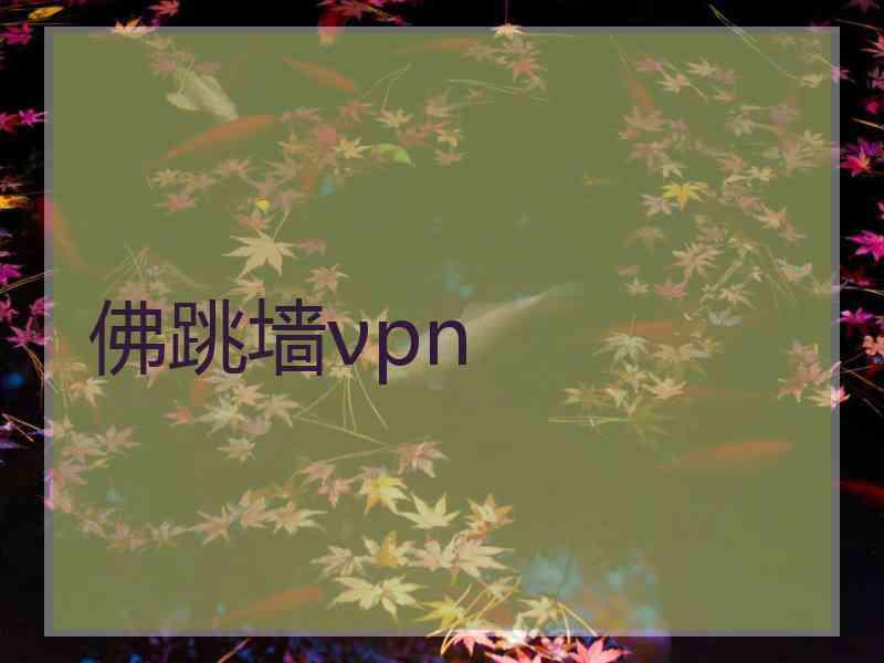 佛跳墙νpn