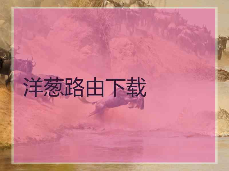 洋葱路由下载
