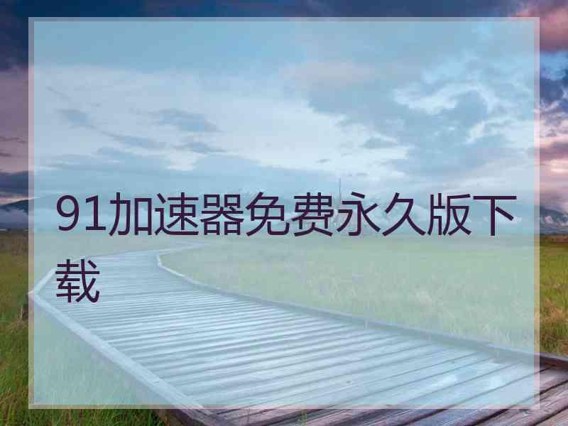 91加速器免费永久版下载