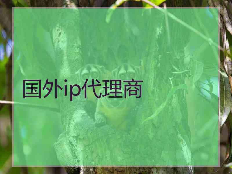 国外ip代理商