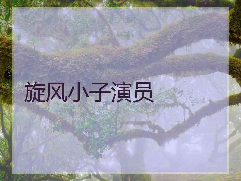 旋风小子演员