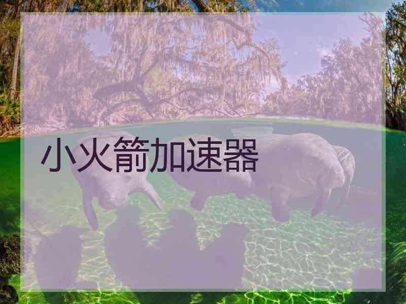 小火箭加速器