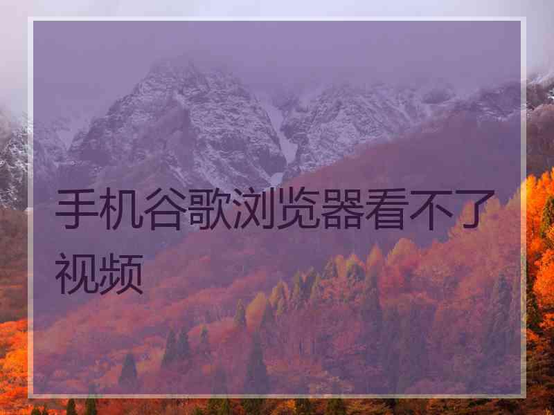 手机谷歌浏览器看不了视频