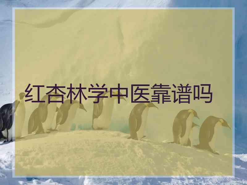 红杏林学中医靠谱吗