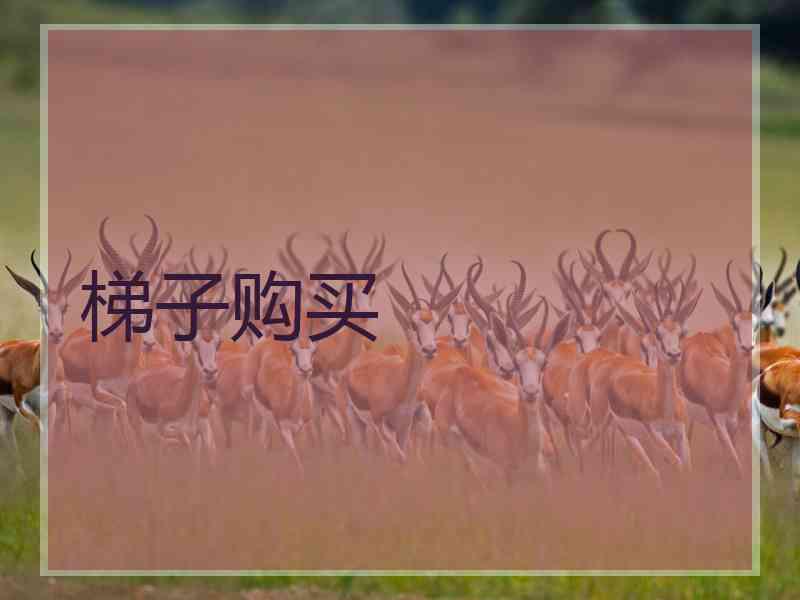 梯子购买