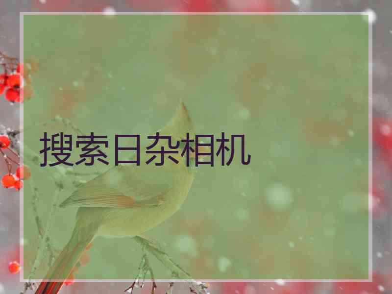 搜索日杂相机