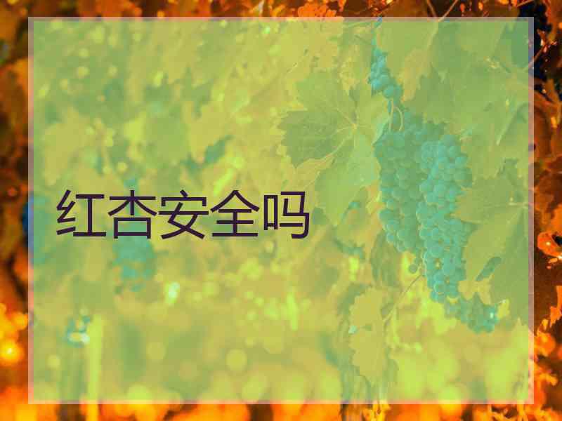 红杏安全吗