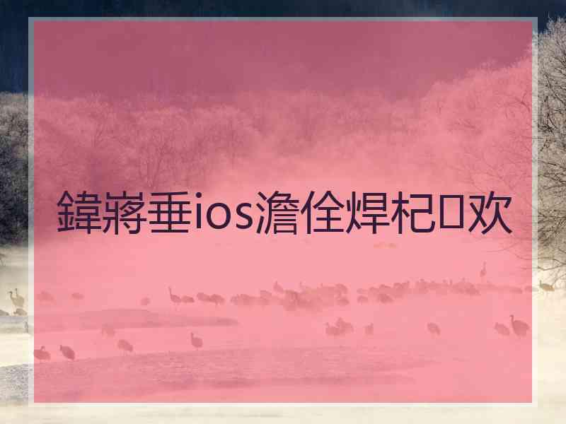 鍏嶈垂ios澹佺焊杞欢