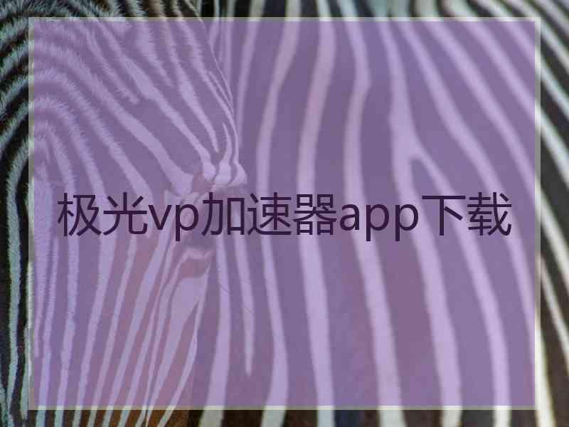 极光vp加速器app下载