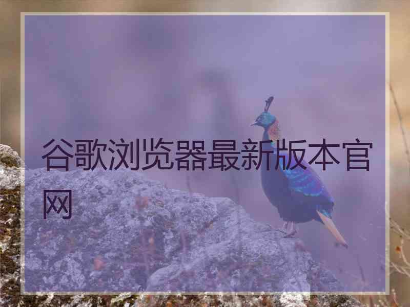 谷歌浏览器最新版本官网