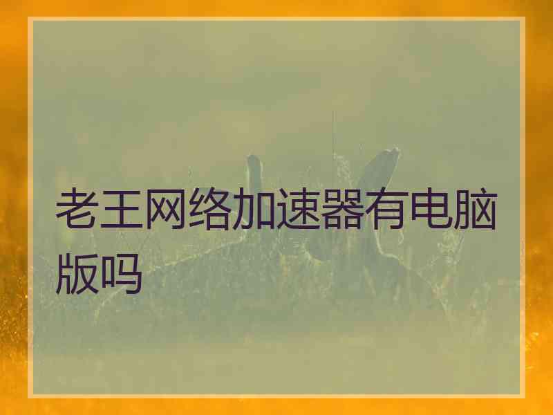老王网络加速器有电脑版吗
