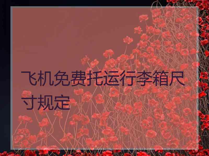 飞机免费托运行李箱尺寸规定