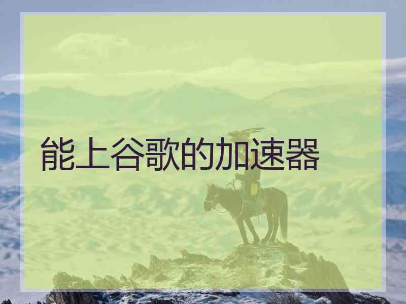 能上谷歌的加速器