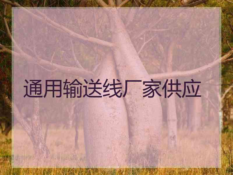 通用输送线厂家供应