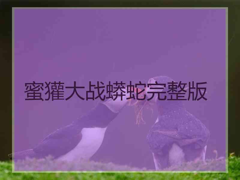 蜜獾大战蟒蛇完整版