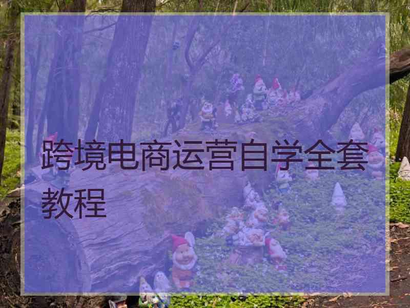 跨境电商运营自学全套教程
