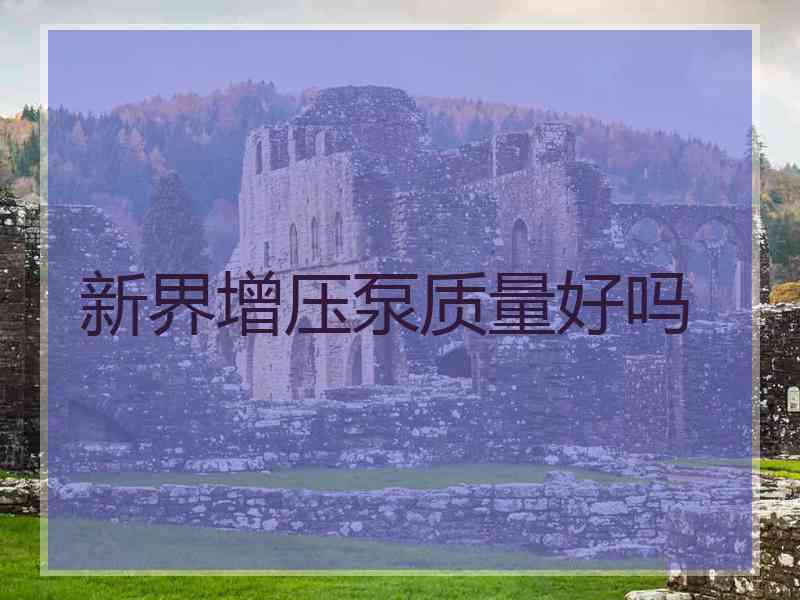 新界增压泵质量好吗