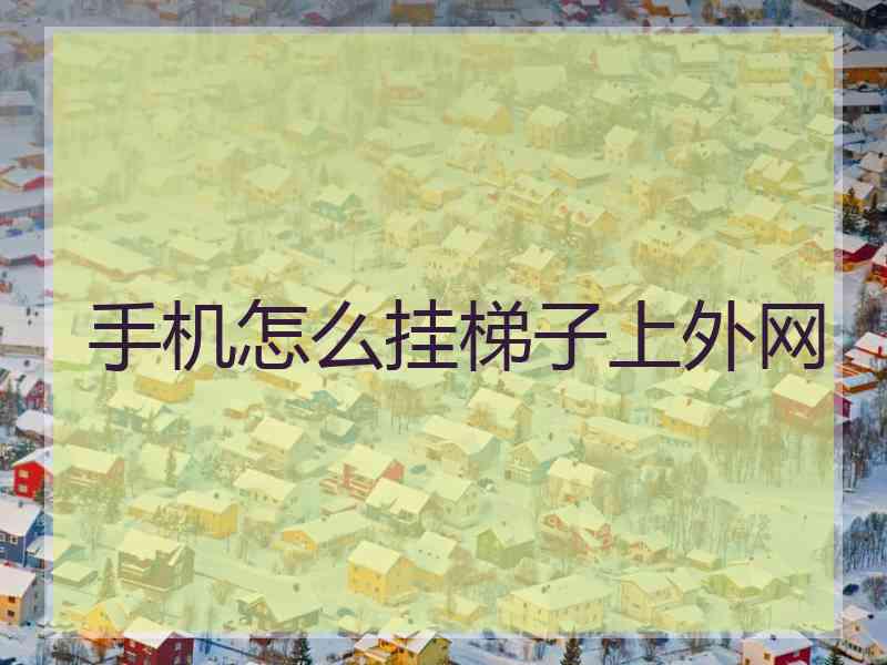 手机怎么挂梯子上外网