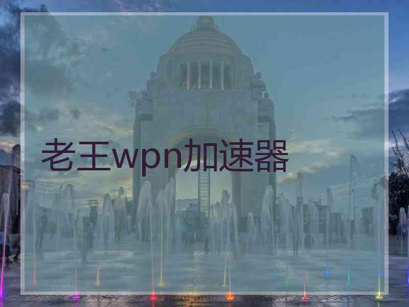 老王wpn加速器