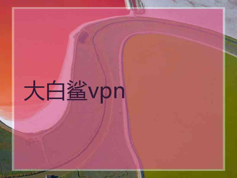 大白鲨vpn