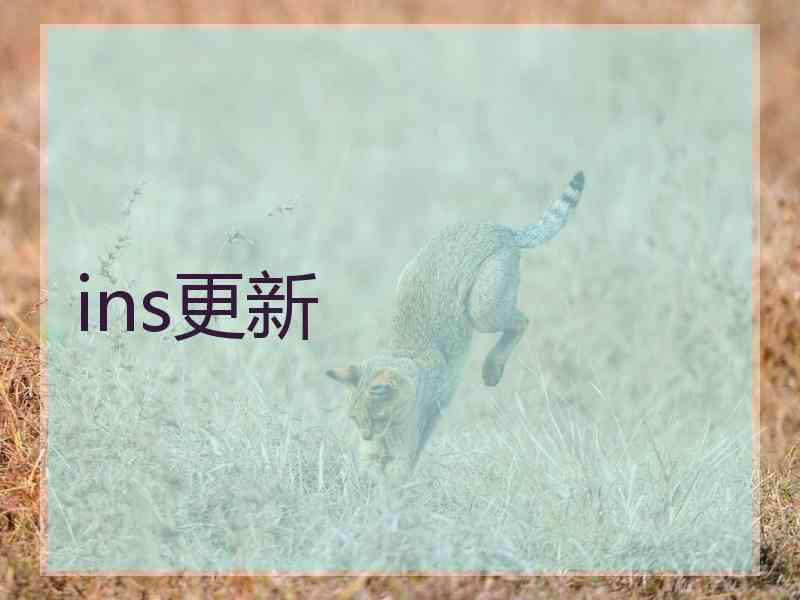 ins更新
