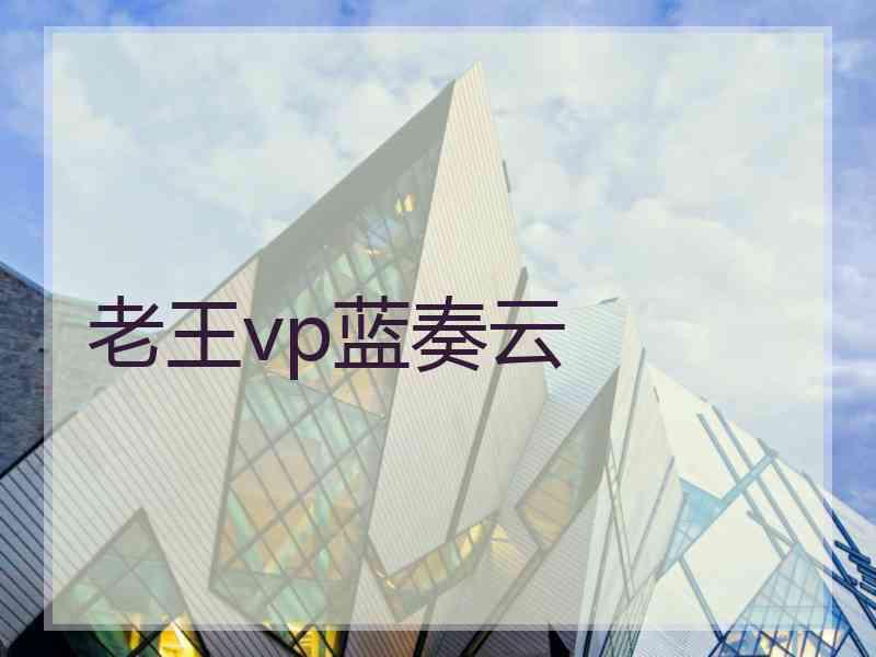 老王vp蓝奏云
