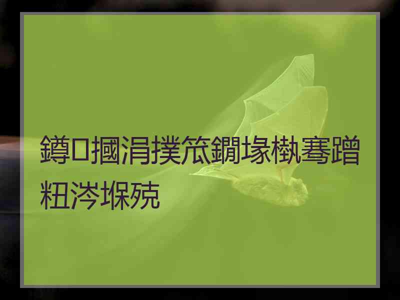 鐏摑涓撲笟鐗堟槸骞蹭粈涔堢殑