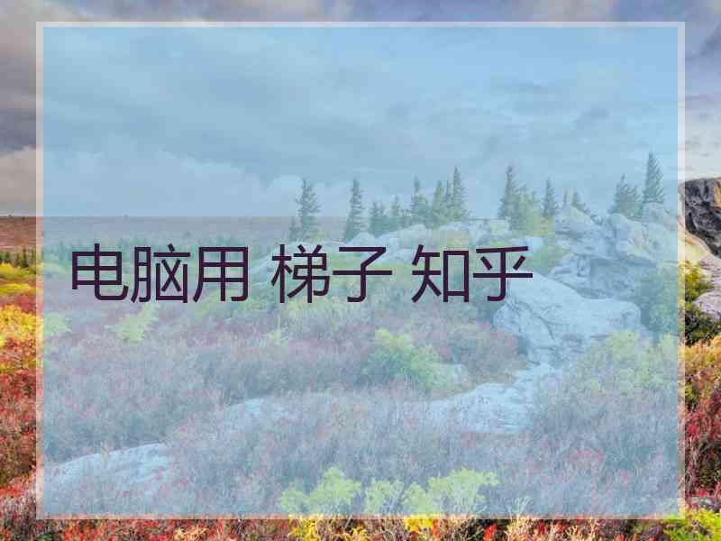 电脑用 梯子 知乎