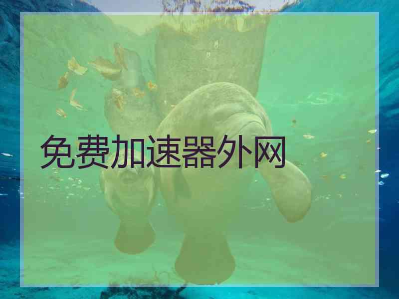 免费加速器外网
