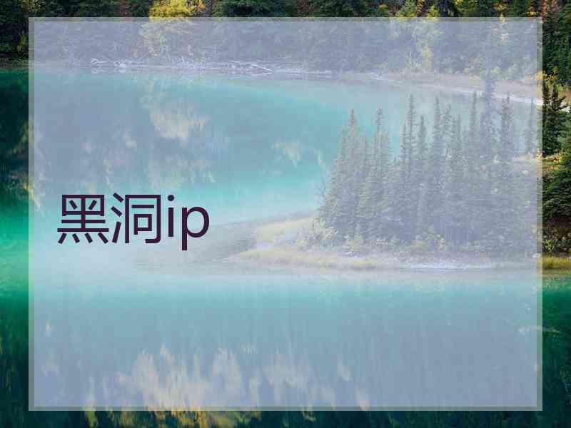 黑洞ip