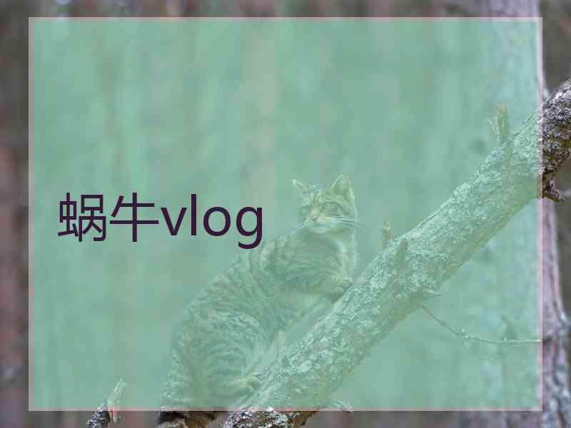 蜗牛vlog