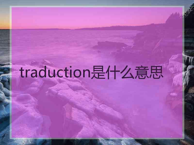 traduction是什么意思