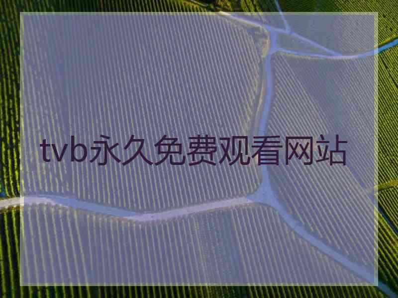 tvb永久免费观看网站