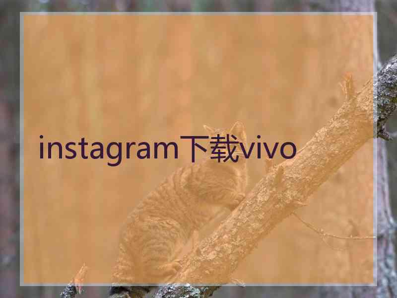instagram下载vivo