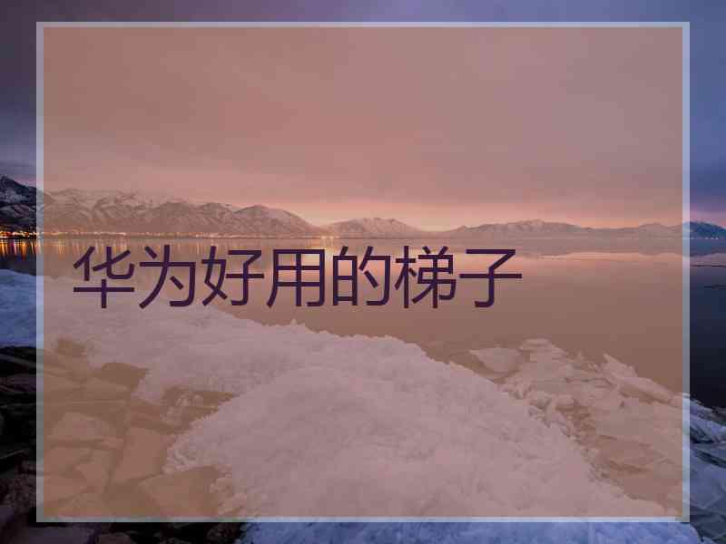 华为好用的梯子