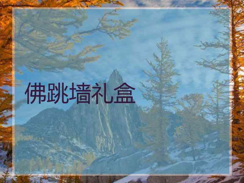 佛跳墙礼盒