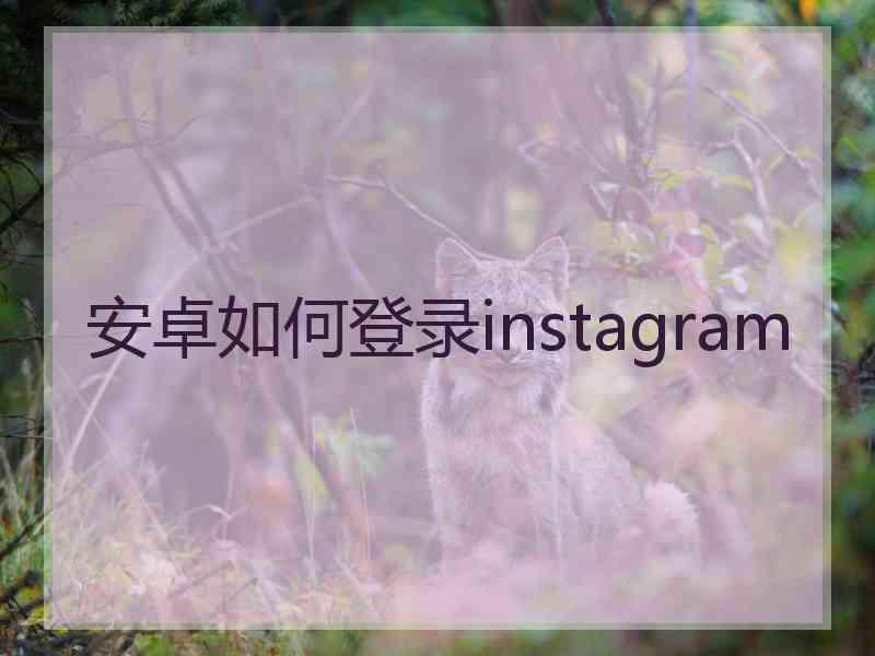 安卓如何登录instagram