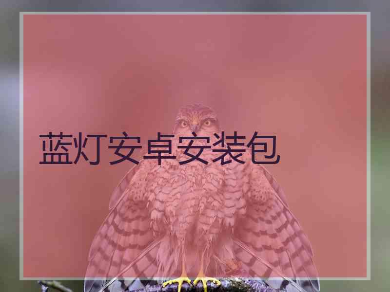 蓝灯安卓安装包