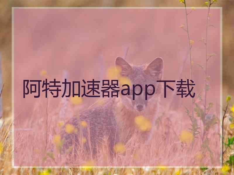 阿特加速器app下载