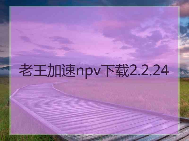 老王加速npv下载2.2.24