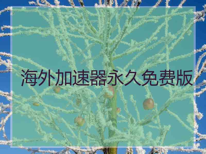 海外加速器永久免费版