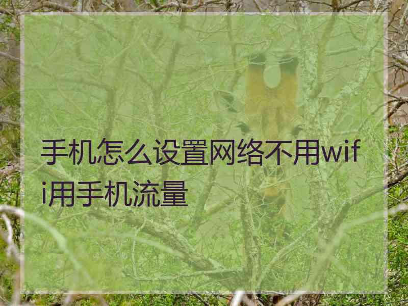 手机怎么设置网络不用wifi用手机流量