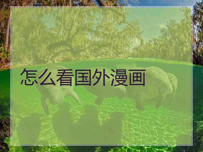 怎么看国外漫画