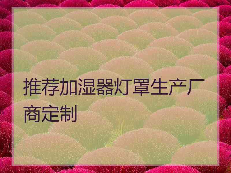 推荐加湿器灯罩生产厂商定制